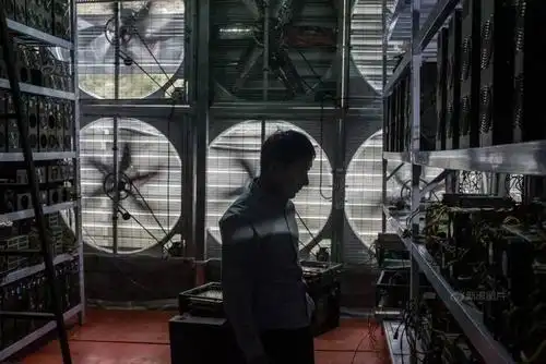A mining farm showcasing multiple mining rigs and efficient energy use
